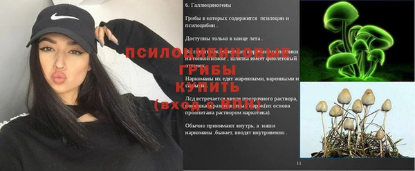 спиды Алзамай