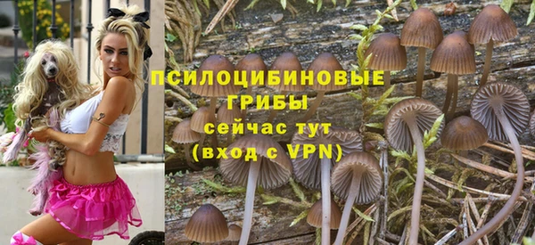спиды Алзамай