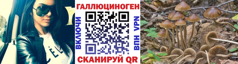 Псилоцибиновые грибы прущие грибы МЕГА Луга